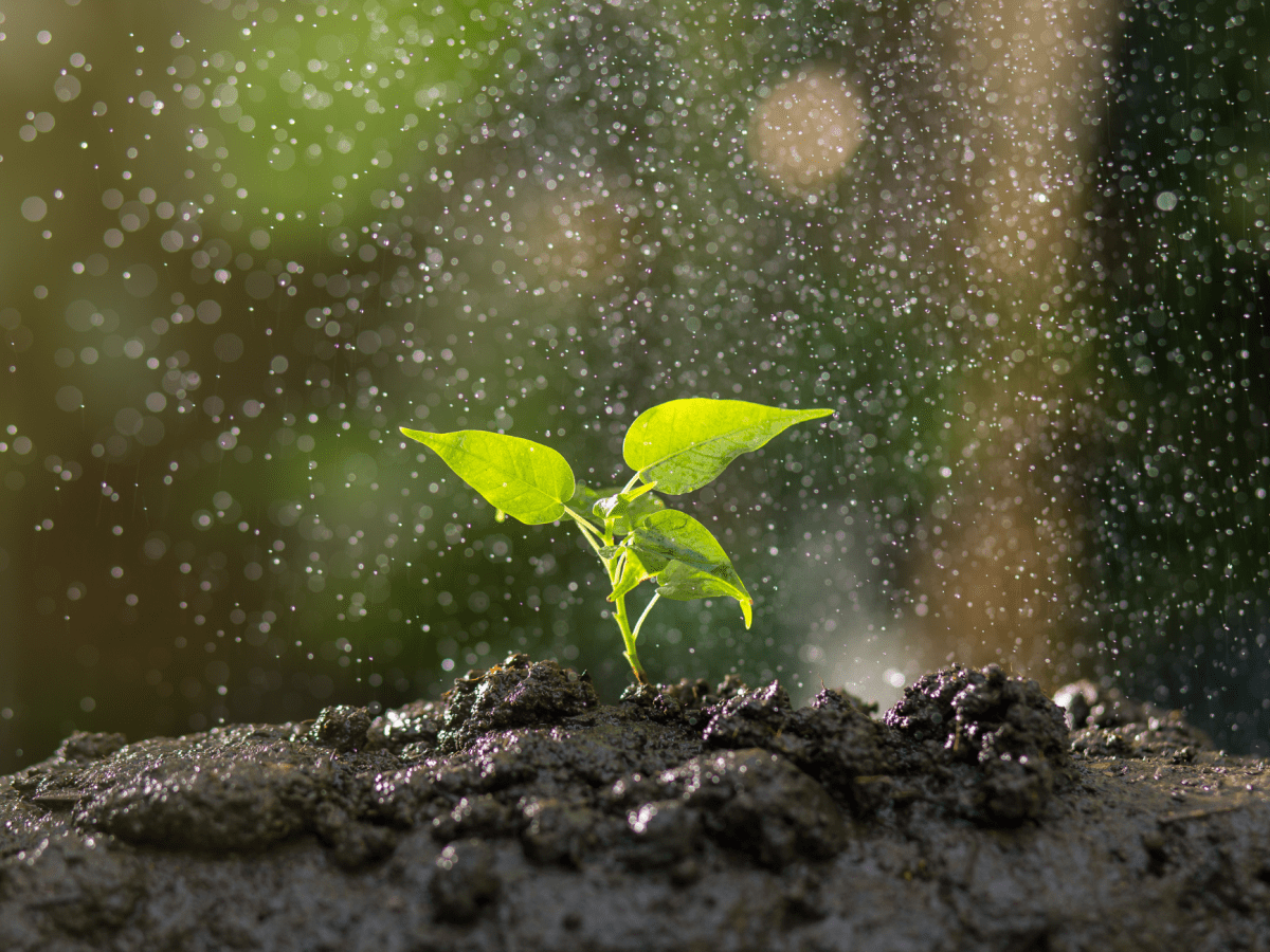 How to Work with Your Stress – Turning Pressure into&nbsp;Progress