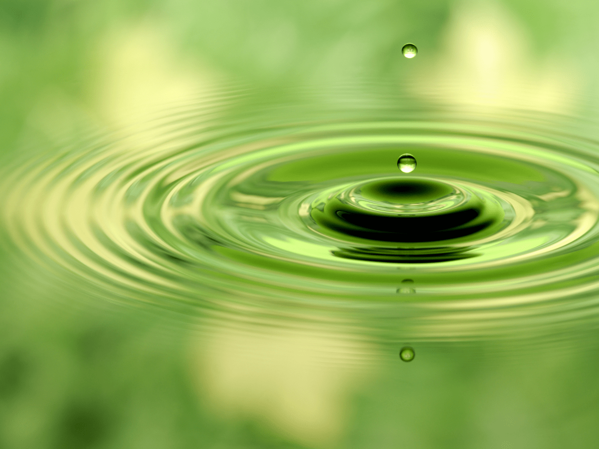 Practical Tips To Cleanse The Negative Energy in Your&nbsp;Home