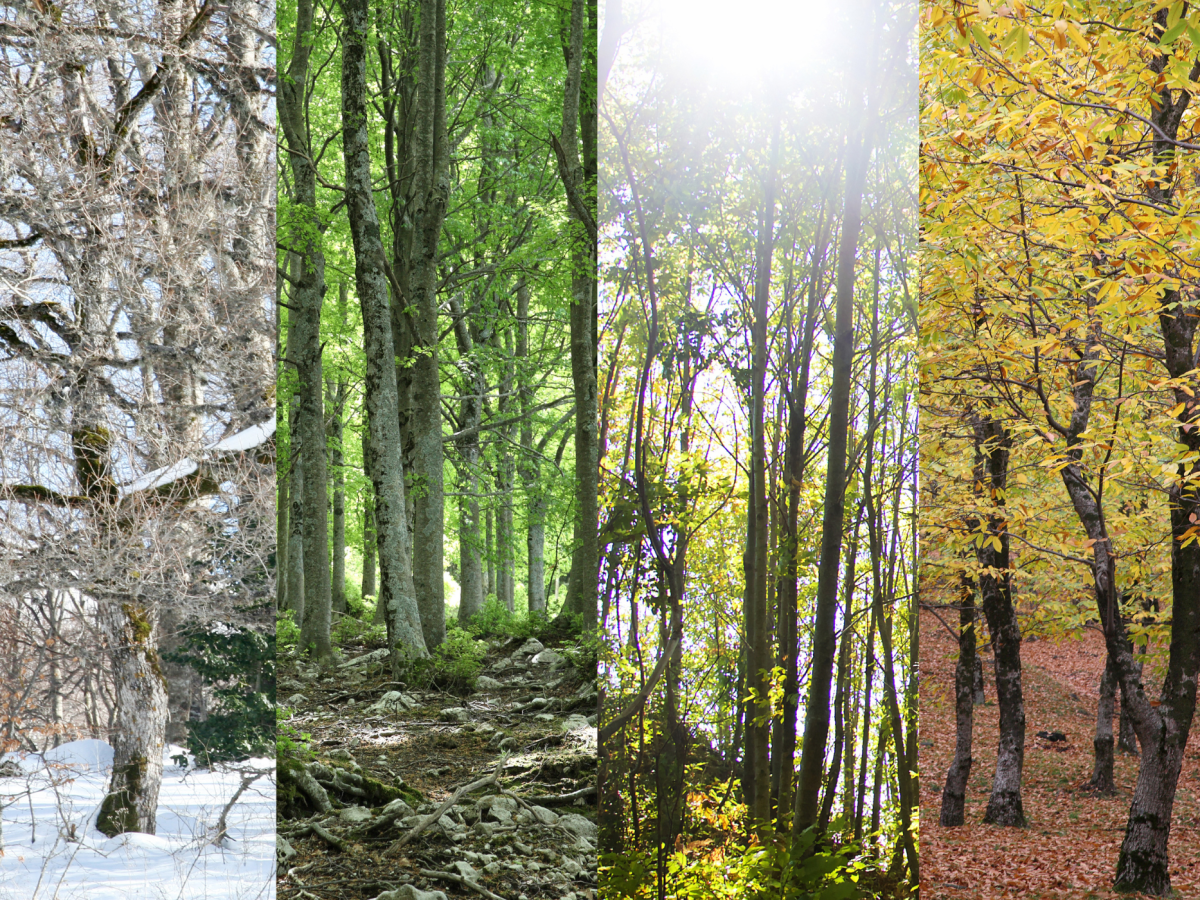 The Seasons of Life – Nurturing Yourself During Your Inner&nbsp;Winter