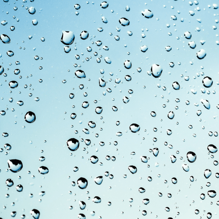 Water droplets on a window.