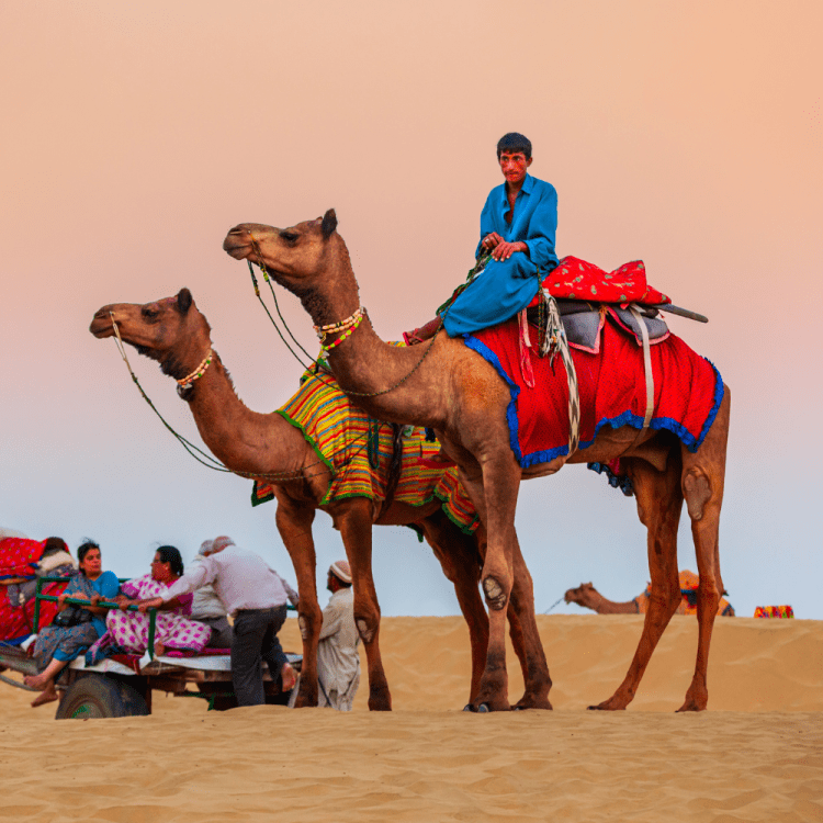 Camel being ridden in the desert.