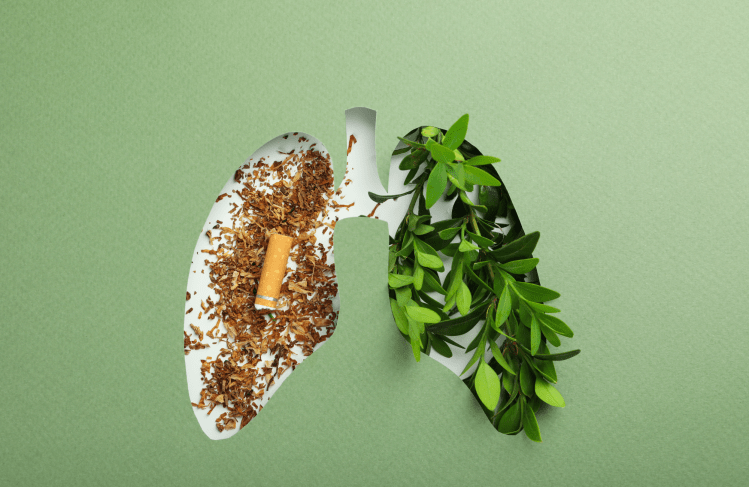 A paper cut-out of two lungs. Behind one lung is a cigarette and behind the other is thriving plant leaves.