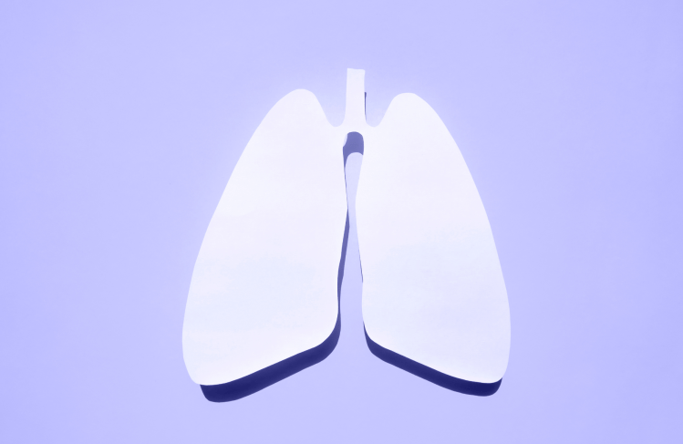 Simple paper cut out of lungs.