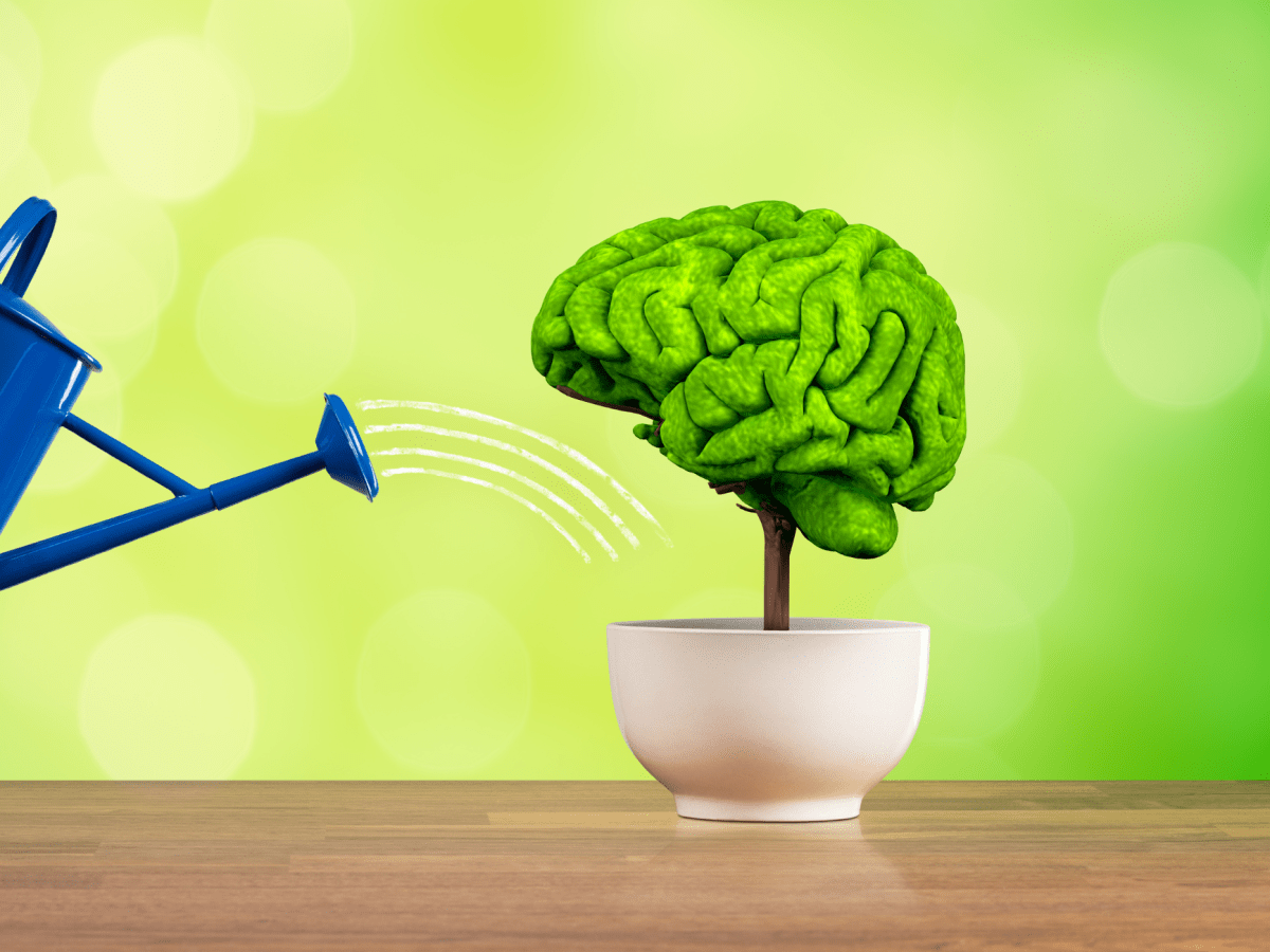 The Science Behind Why Mindset Really&nbsp;Matters